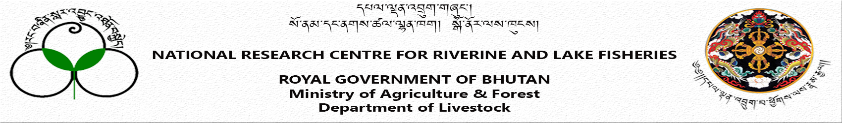 National Research Centre For Riverine And Lake Fisheries